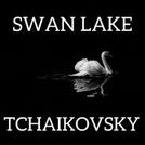 Pyotr Il\'yich Tchaikovsky