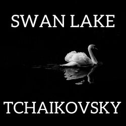Picture of Pyotr Il'yich Tchaikovsky