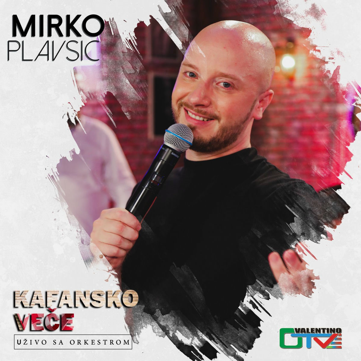 Mirko Plavsic