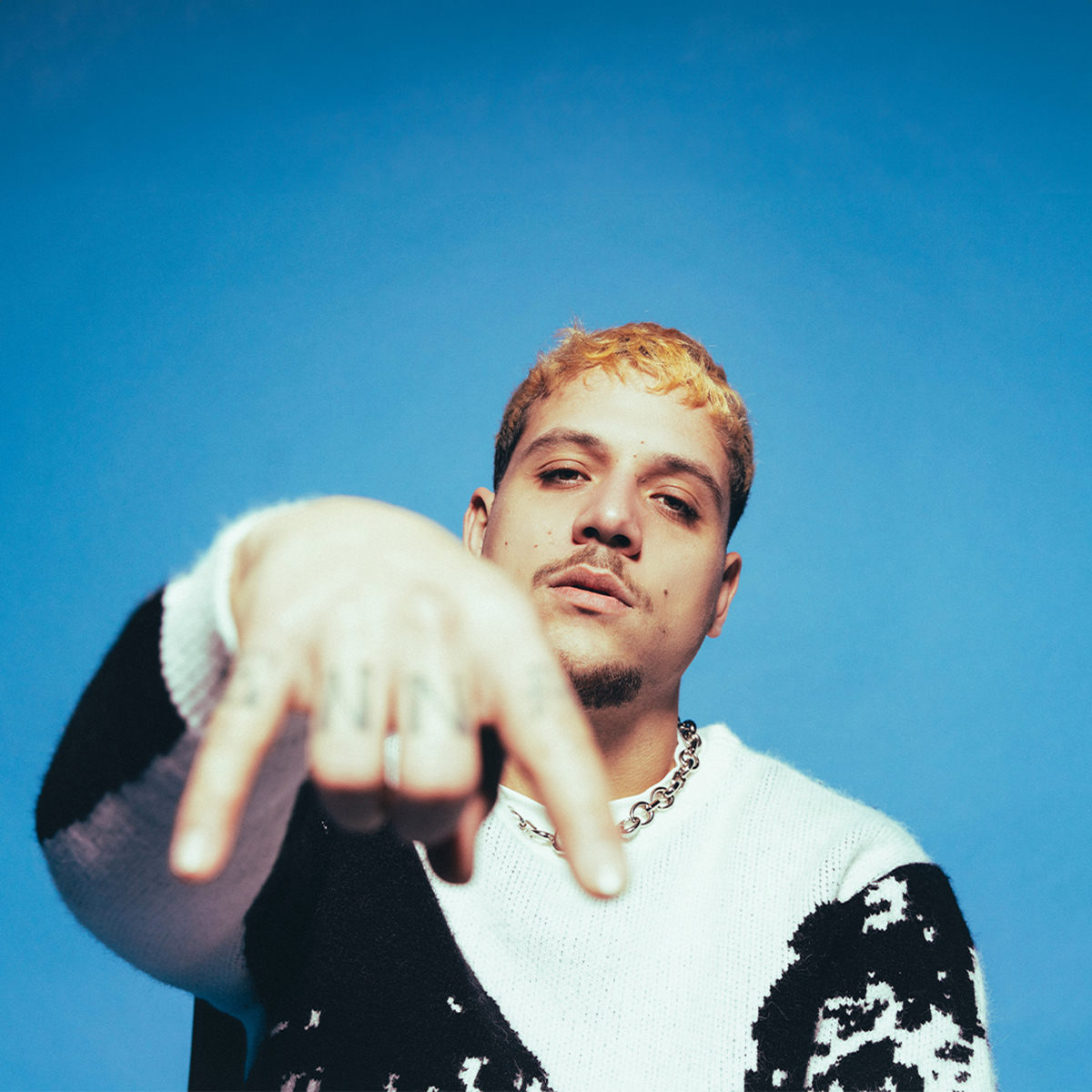 Artist picture of PLK