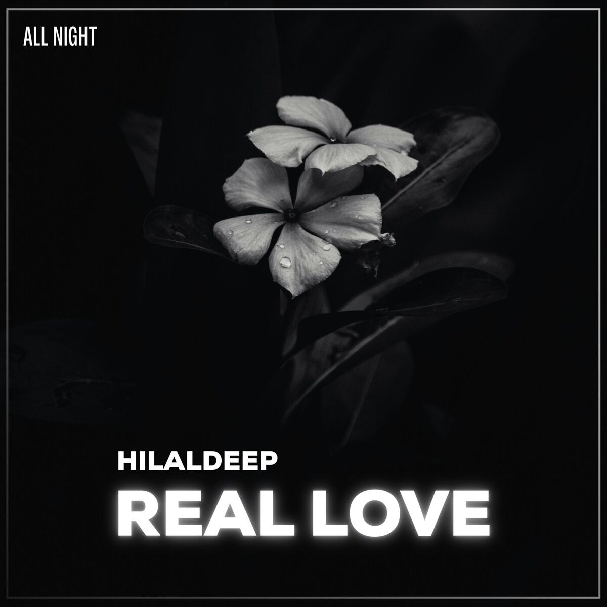 HilalDeep