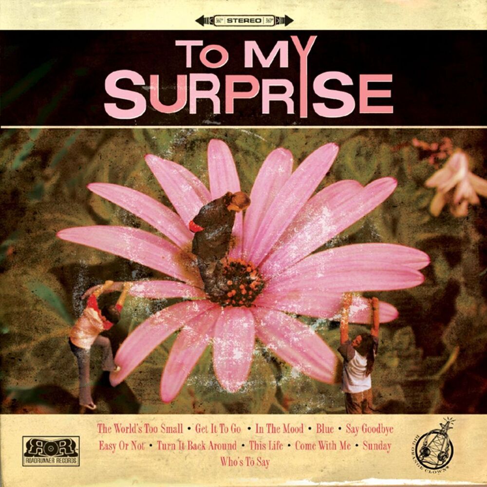 Picture of To My Surprise