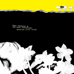 Hope Sandoval and the Warm Inventions