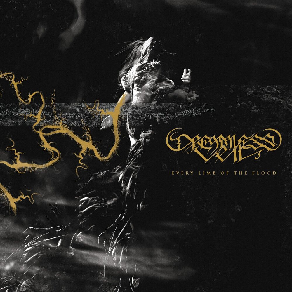 Picture of Dreamless Veil