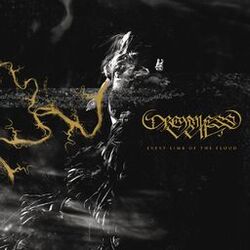 Picture of Dreamless Veil