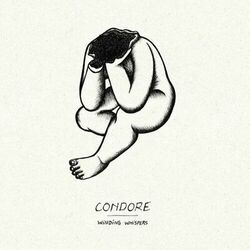 Picture of Condore