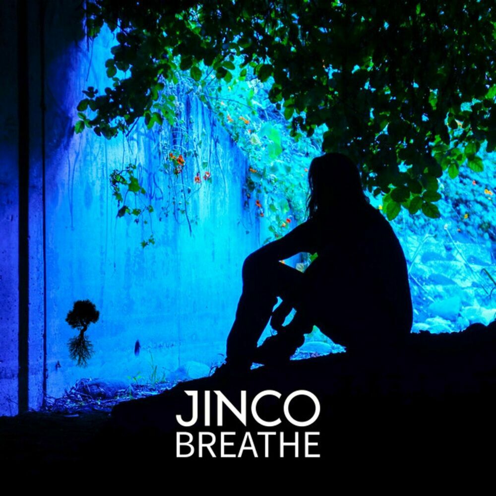 Picture of Jinco
