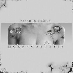 Picture of Paradox Obscur