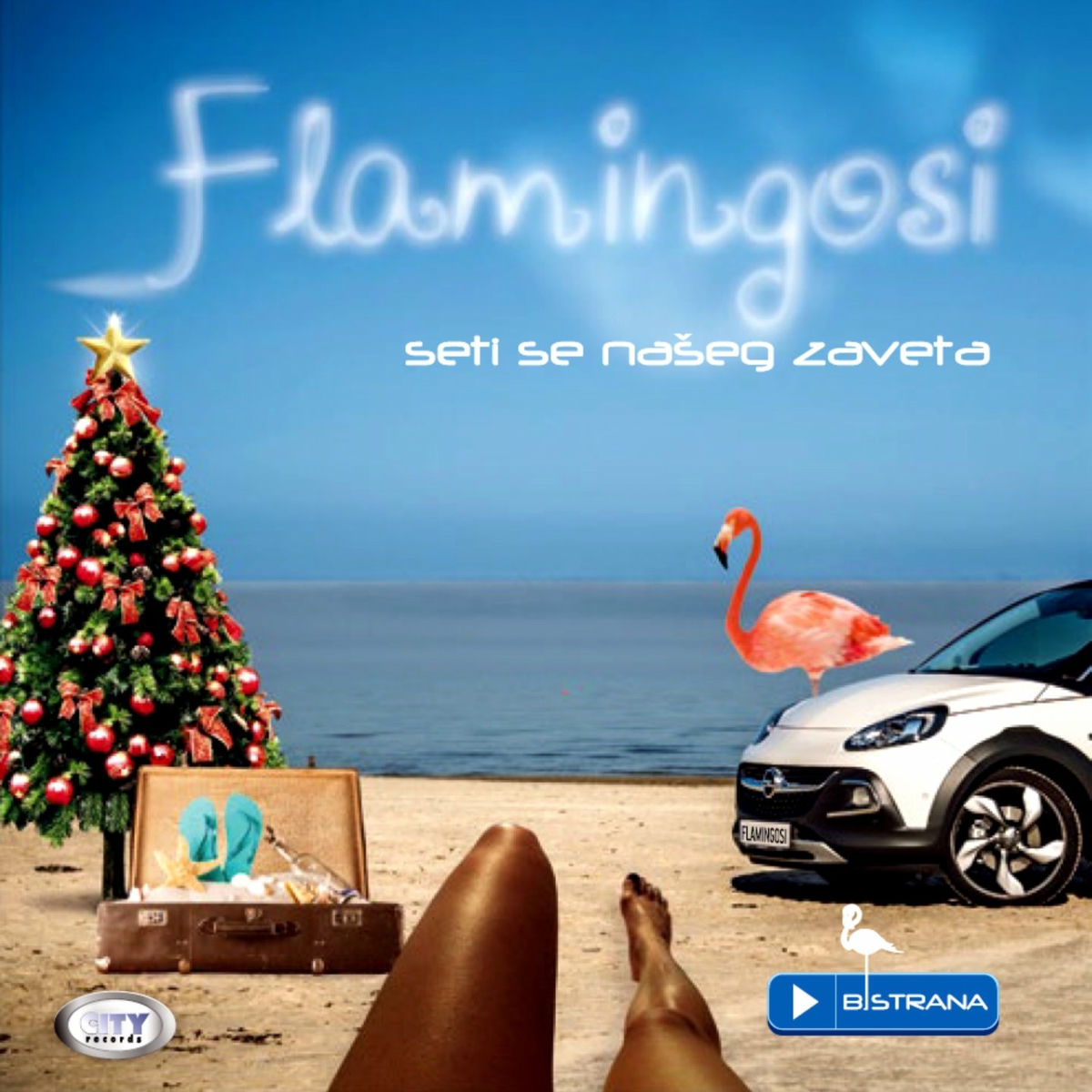 Artist picture of Flamingosi