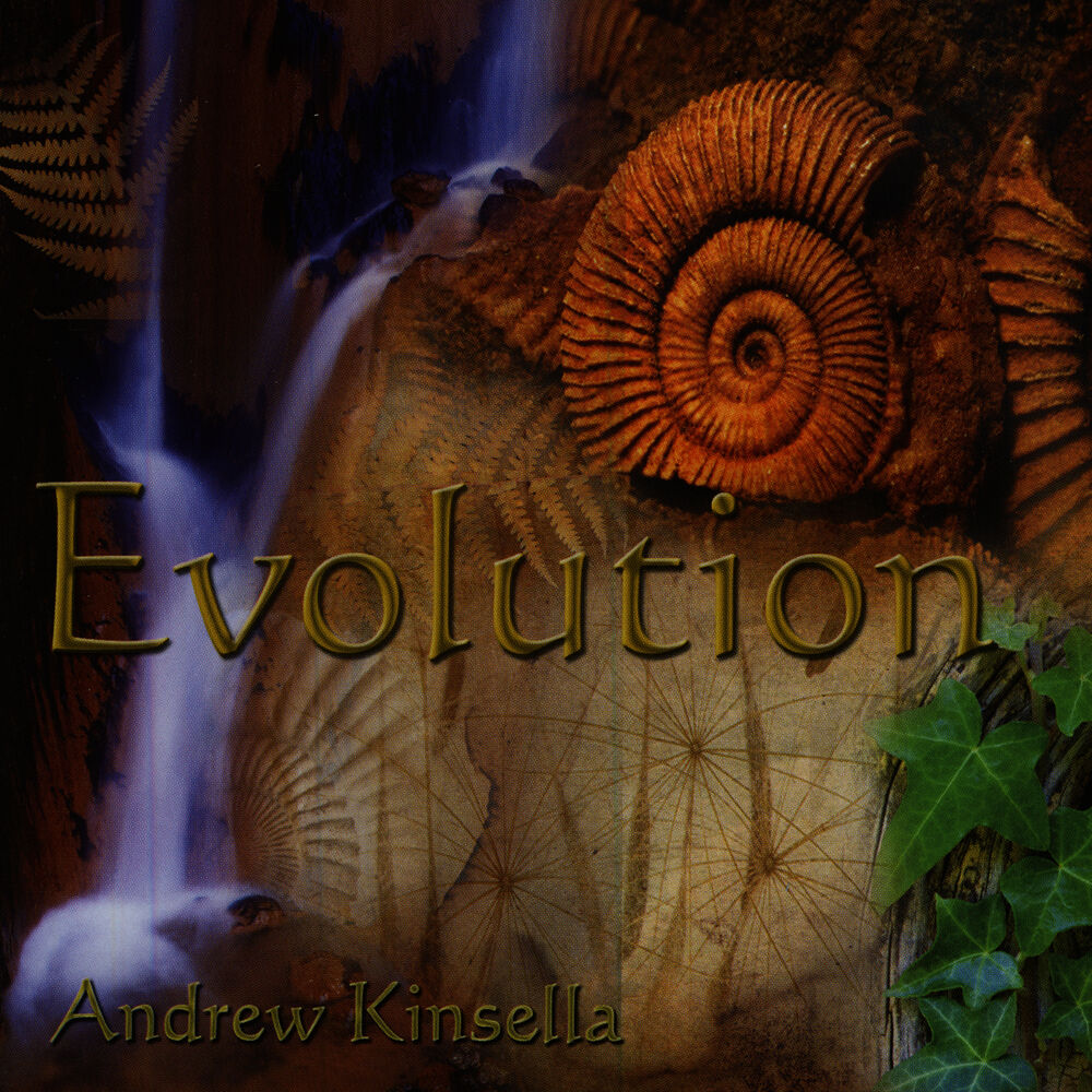 Picture of Andrew Kinsella