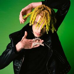 Picture of DrefGold