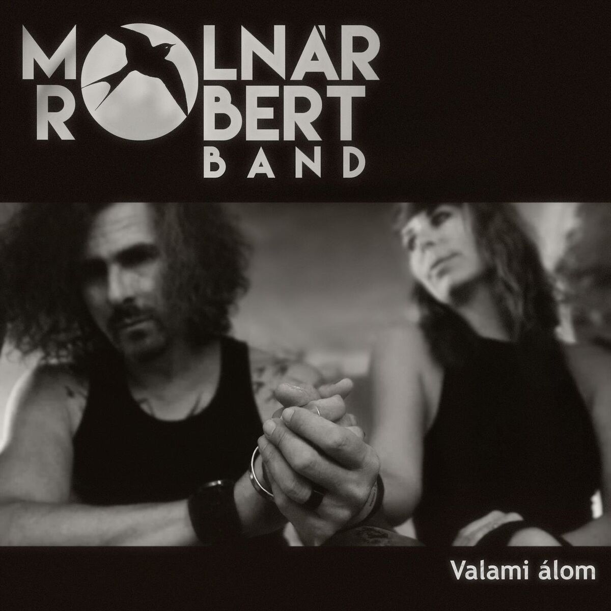 Artist picture of Molnár Róbert Band
