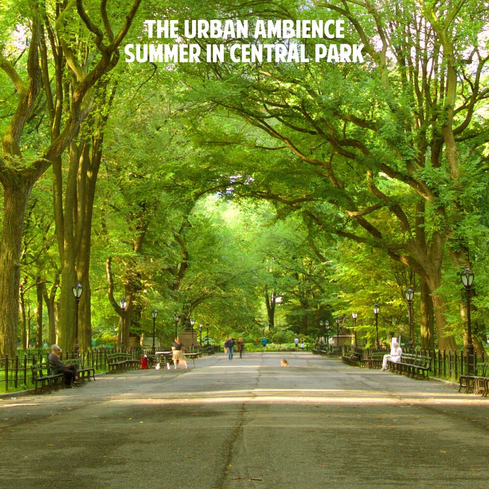 Picture of The Urban Ambience