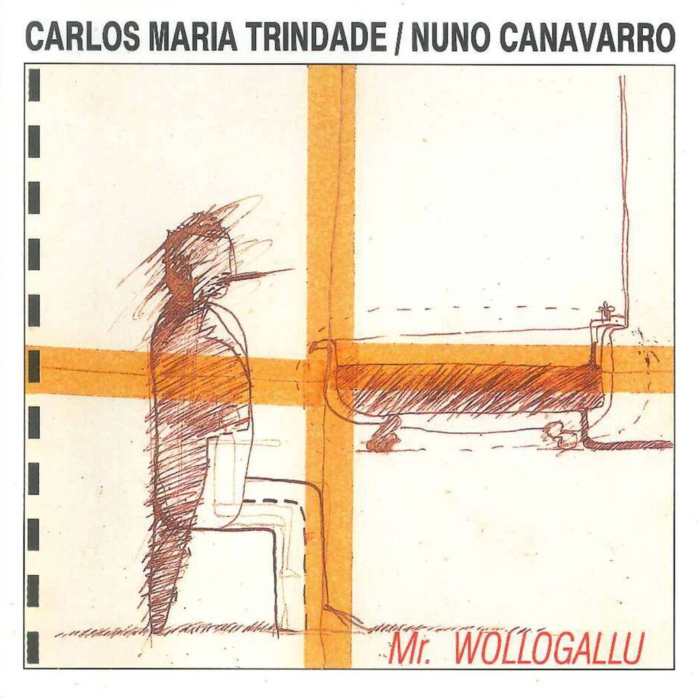Picture of Nuno Canavarro