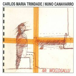 Picture of Nuno Canavarro