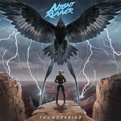 Picture of Night Runner