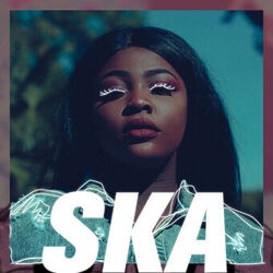Picture of SKA 510