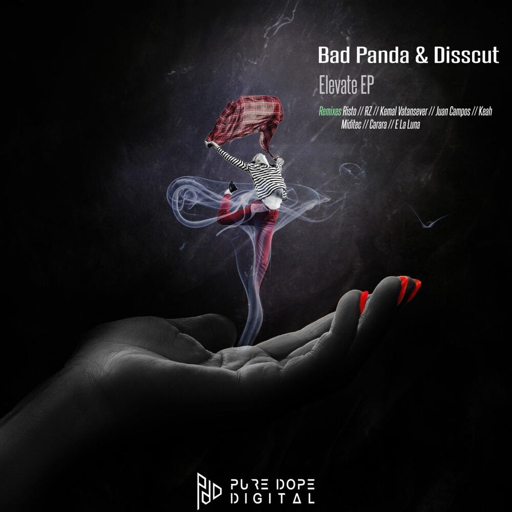 Picture of Bad Panda, Disscut