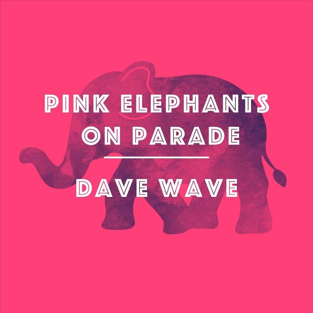 Picture of Dave Wave