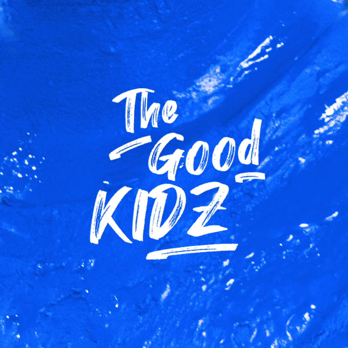 Artist picture of The Good Kidz
