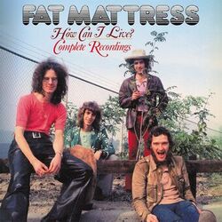 Picture of Fat Mattress