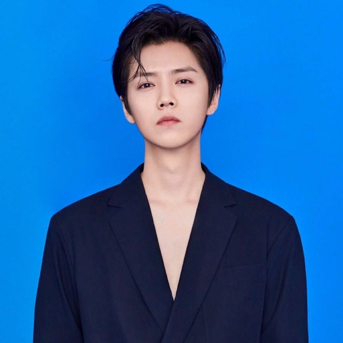 Artist picture of 鹿晗