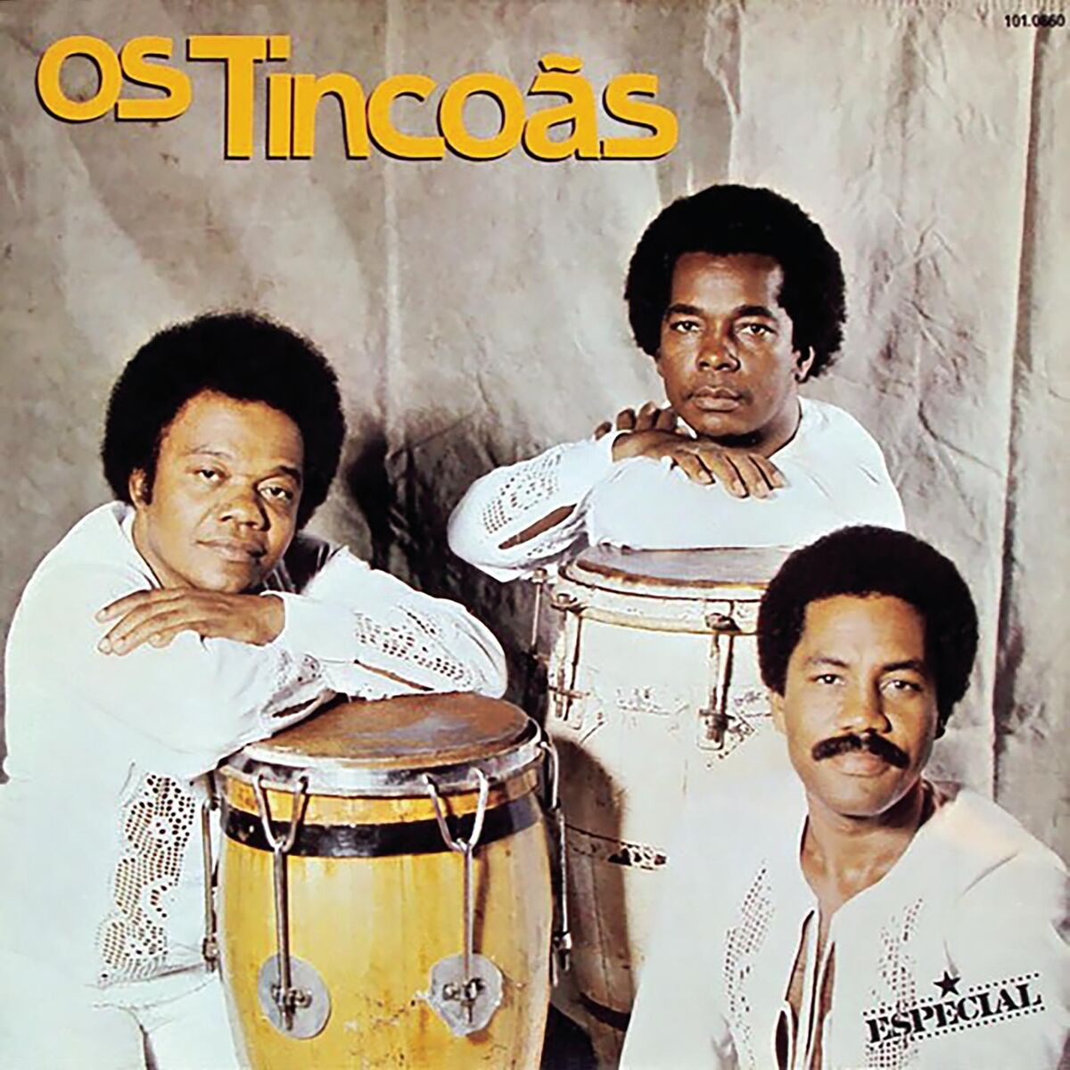 Os Tincoas