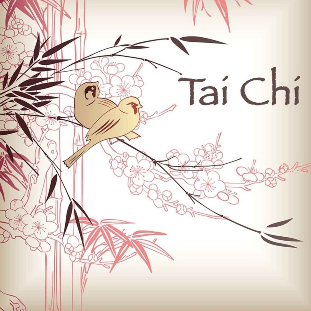 Picture of Tai Chi Chuan