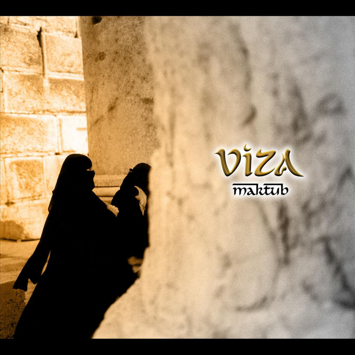 Artist picture of VIZA