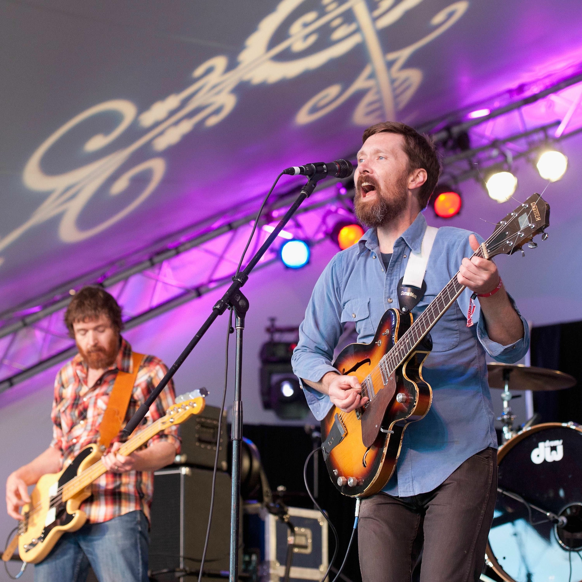 Artist picture of The Features