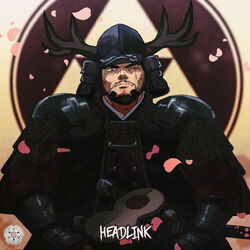 Picture of HEADLINK