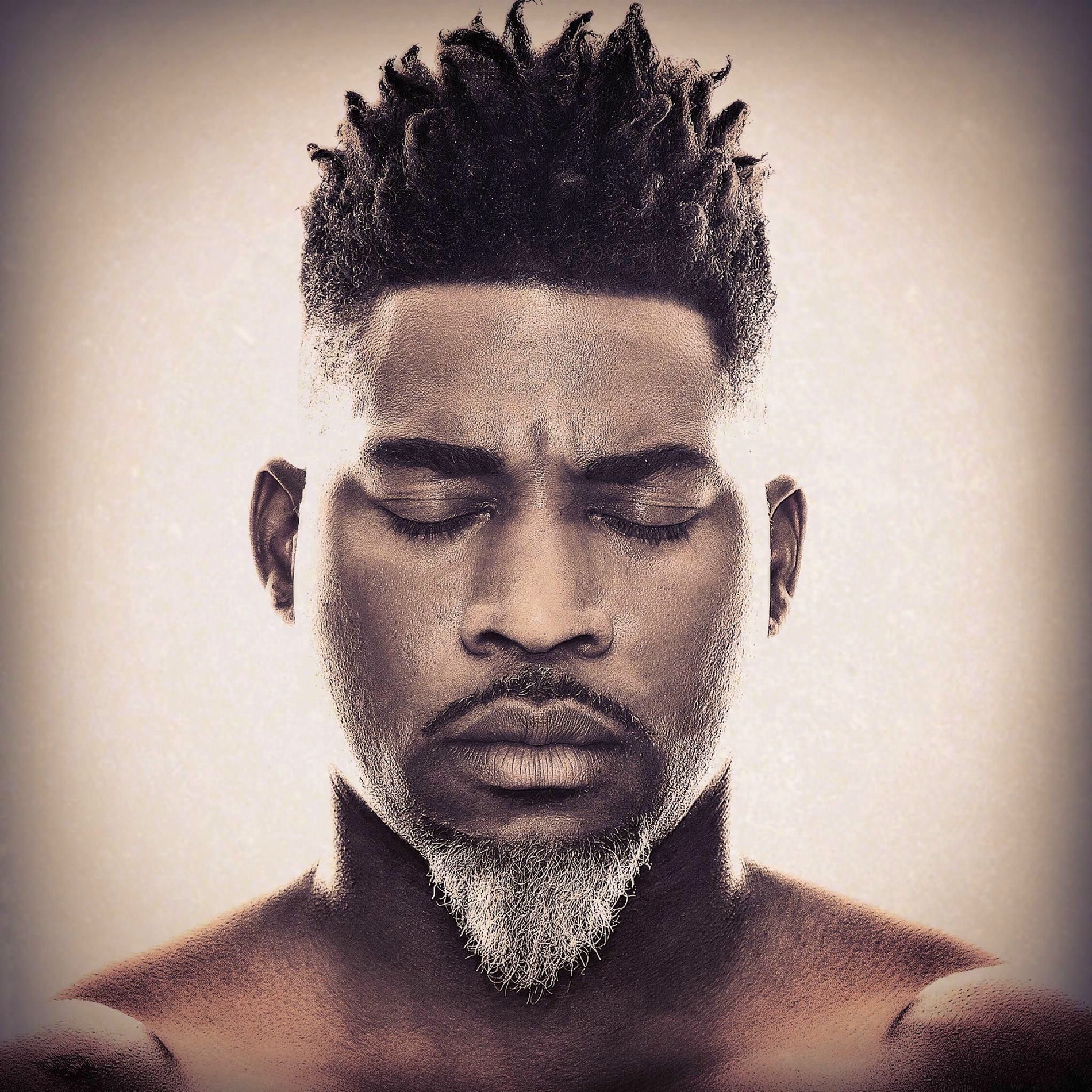 Artist picture of David Banner