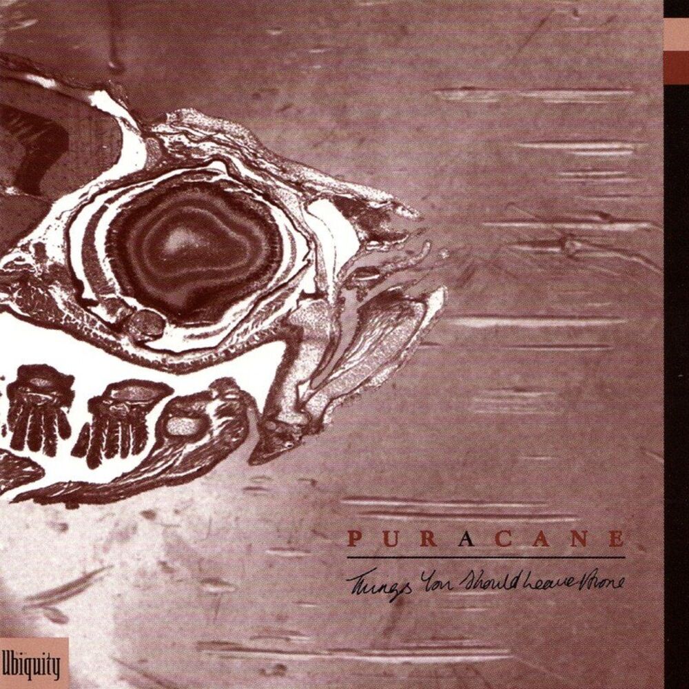 Picture of Puracane