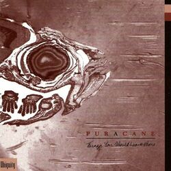 Picture of Puracane