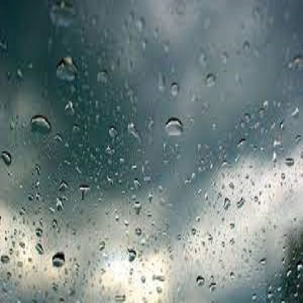 Picture of Rain Sounds for Life