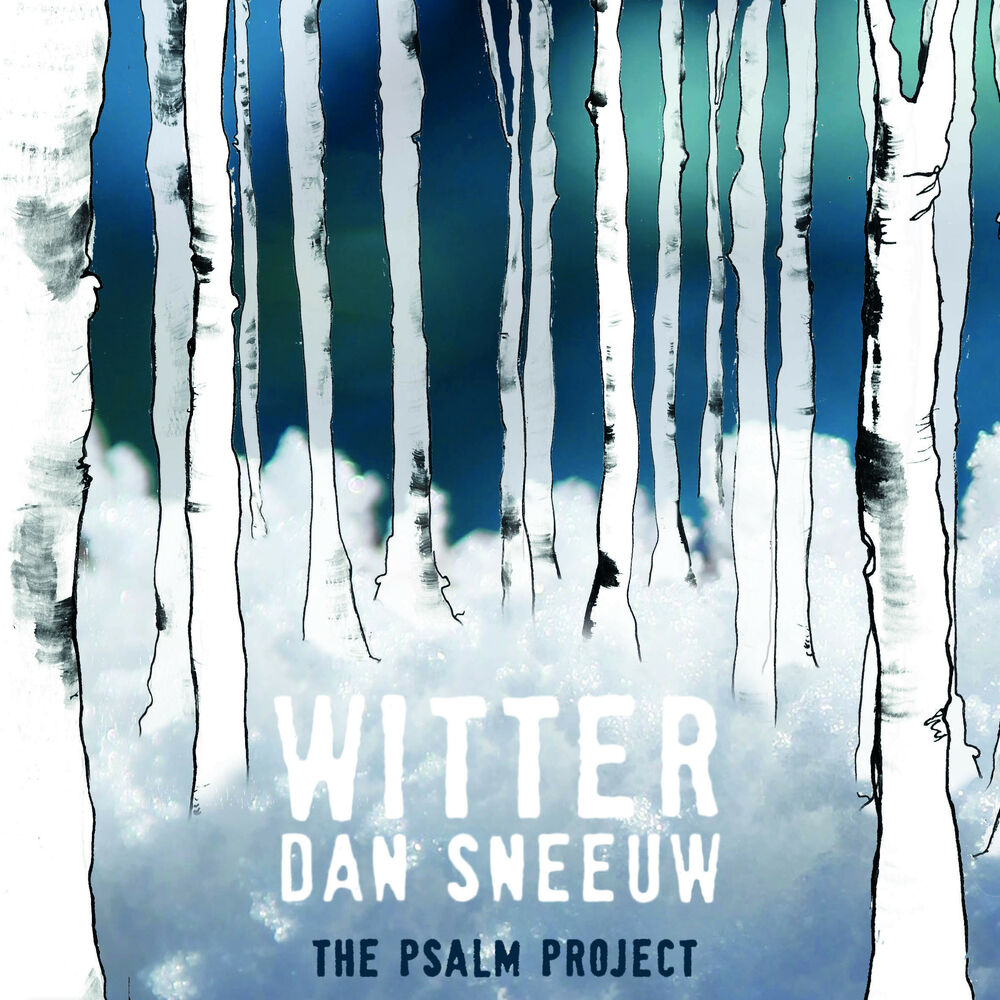 Picture of The Psalm Project