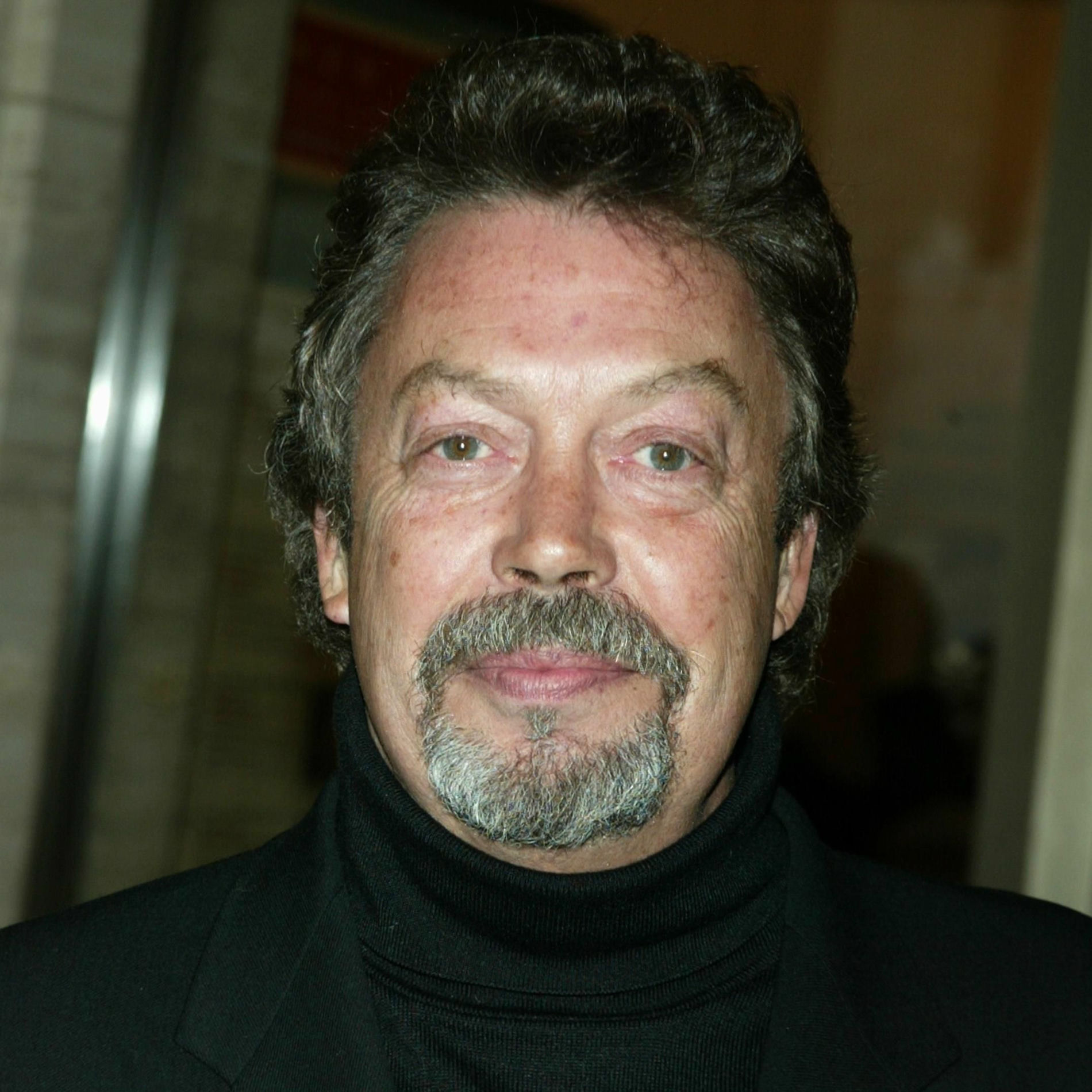 Artist picture of Tim Curry