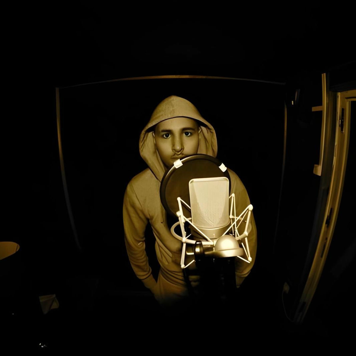 Artist picture of Volts Face