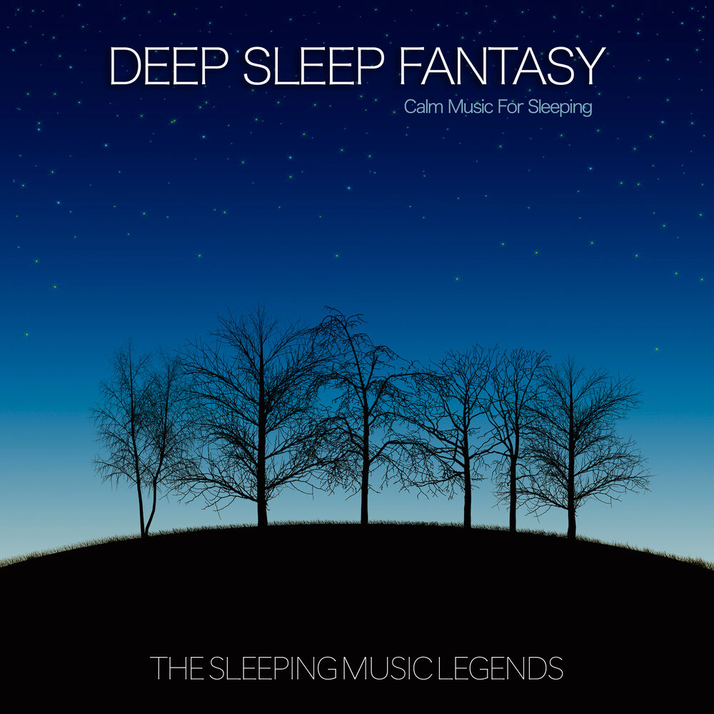 Picture of The Sleeping Music Legends