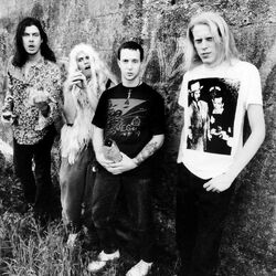 Picture of Butthole Surfers