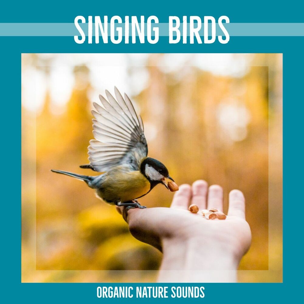 Picture of Organic Nature Sounds