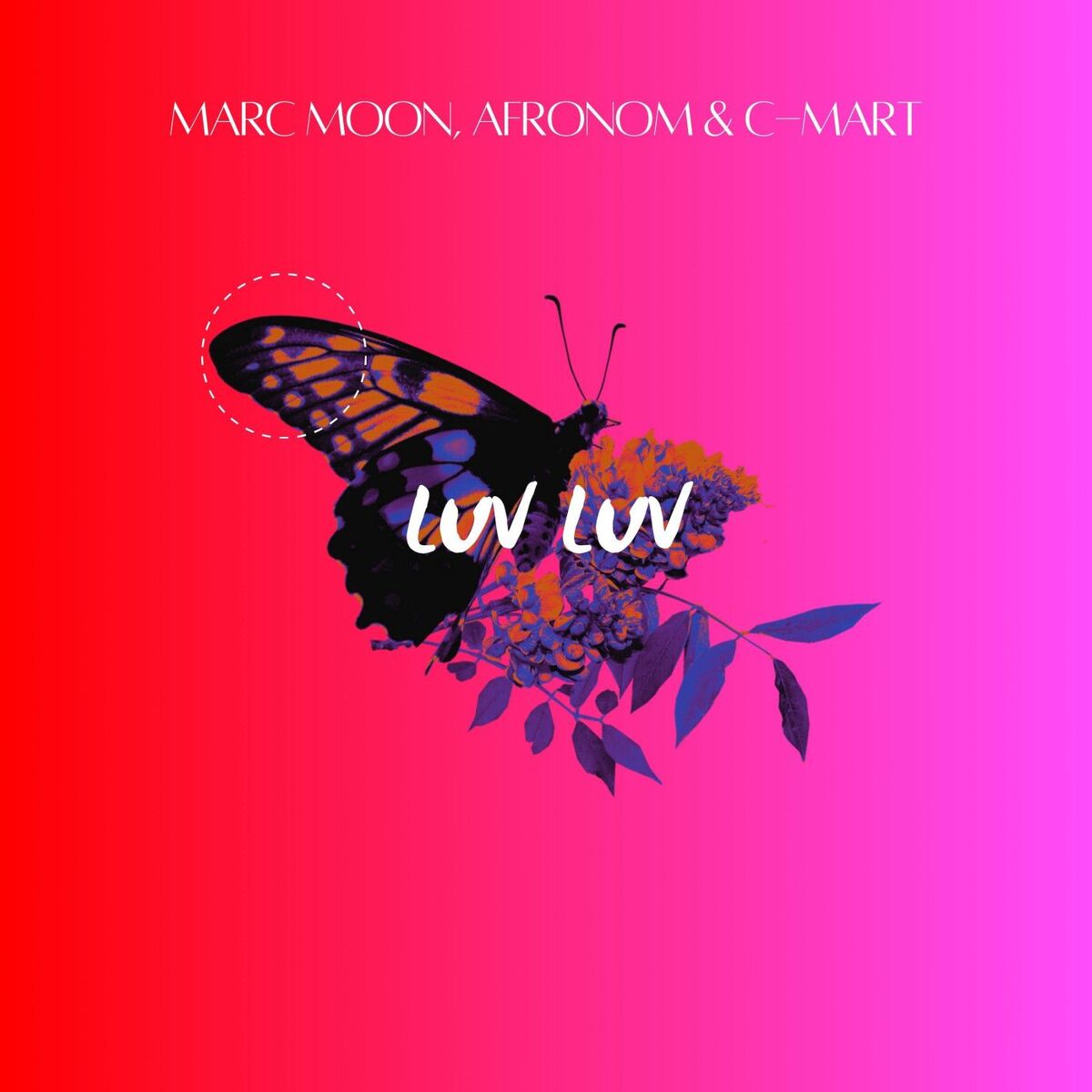 Marc Moon