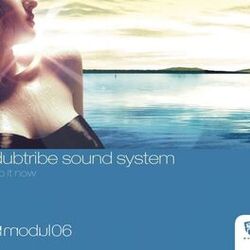 Picture of Dubtribe Sound System