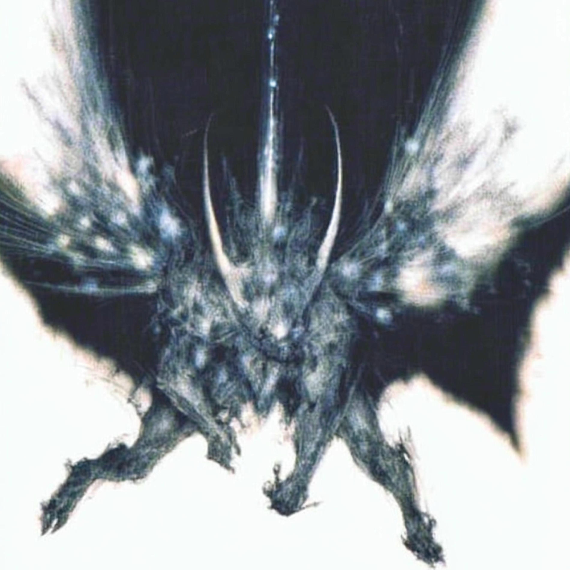 Artist picture of youthisending