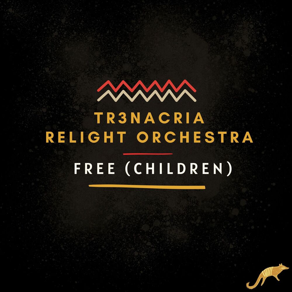 Picture of Relight Orchestra
