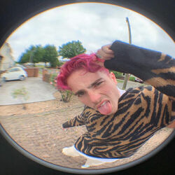 Picture of Yxngxr1