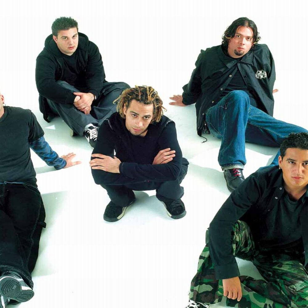 Picture of 40 Below Summer