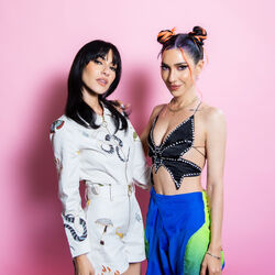 Picture of The Veronicas