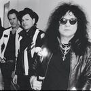 Rough Cutt