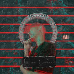 Picture of Dj Carlinhos Da S.R